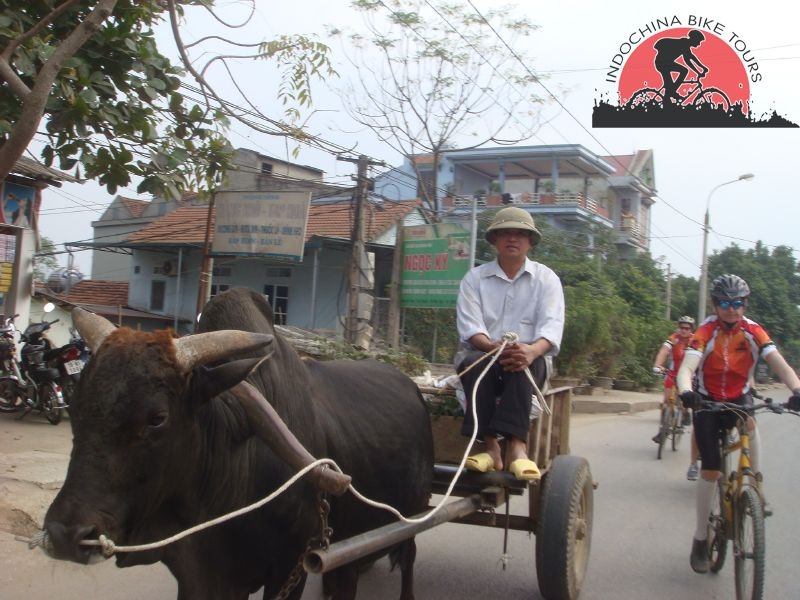 6 days Phnom Penh Cycling To Siem Reap